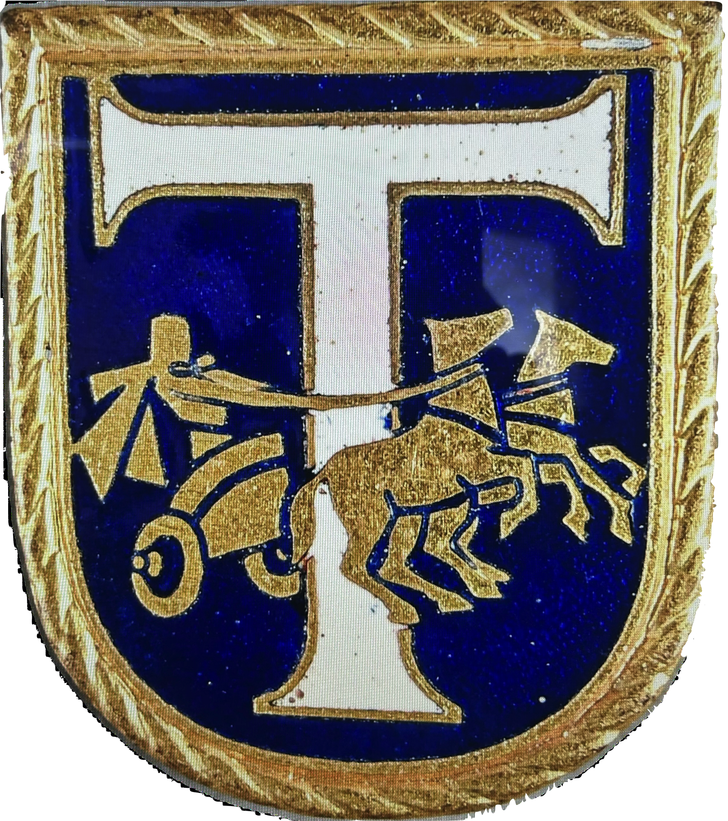 Insigne SNLE Le Triomphant